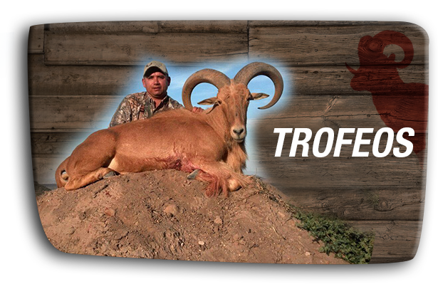 Rancho-san-gabriel_2-trofeos