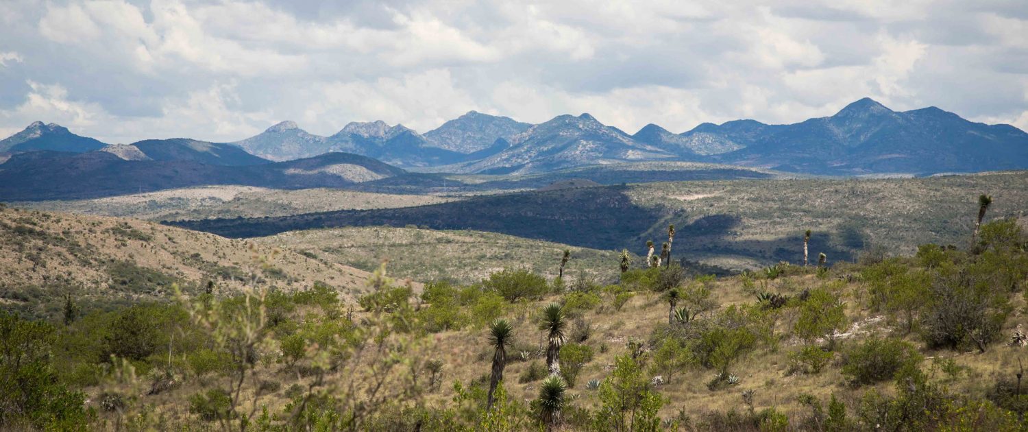 Rancho_San_Gabriel__hunting_Mexico_cinegetico_caza_rifle_arco-165__