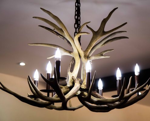 Rancho_San_Gabriel__hunting_Mexico_cinegetico_caza_rifle_arco-18