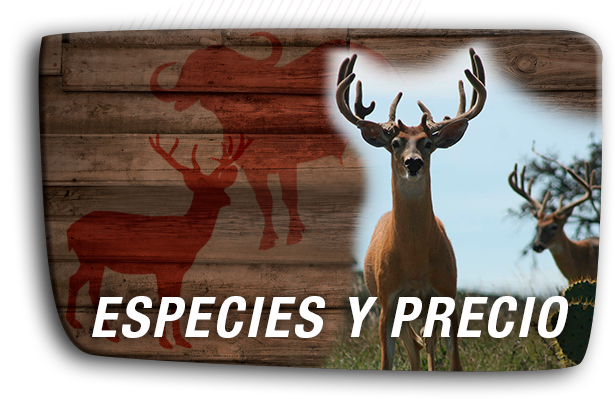 especies-y-precio