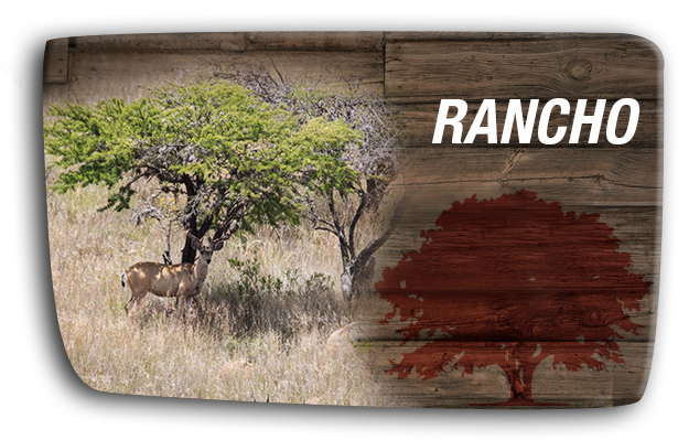 rancho-san-gabriel_1