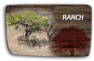 rancho-san-gabriel_1-